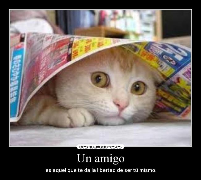 Un amigo - 