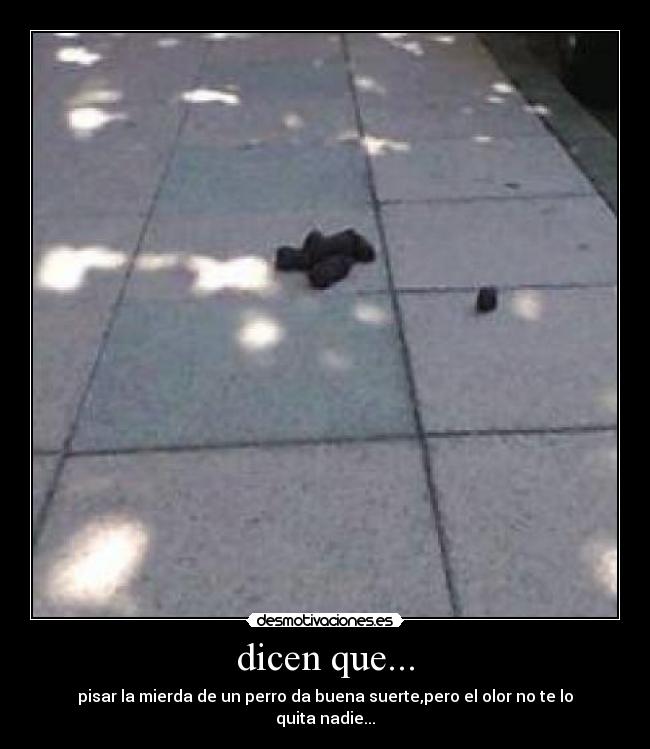 dicen que... - 