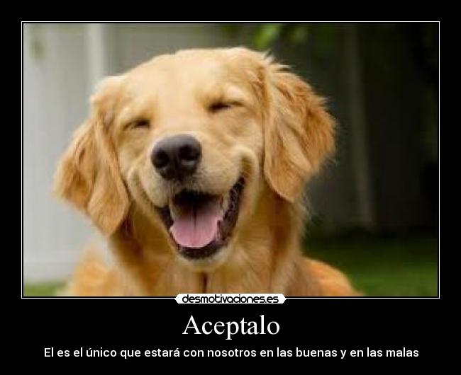 Aceptalo - El es el único que estará con nosotros en las buenas y en las malas
