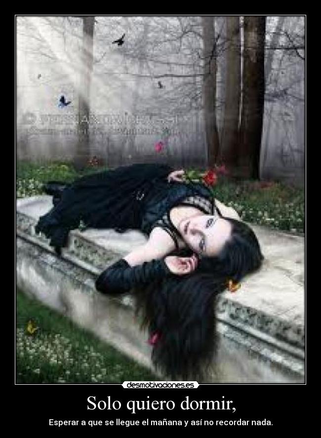 carteles dormir dormir desmotivaciones