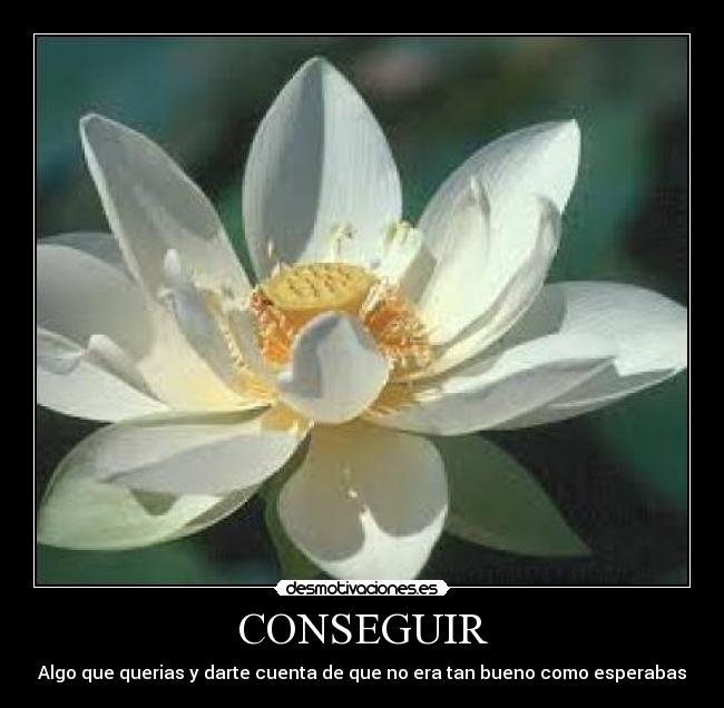 CONSEGUIR -