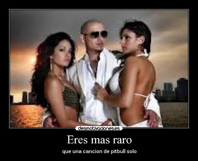 Eres mas raro - que una cancion de pitbull solo