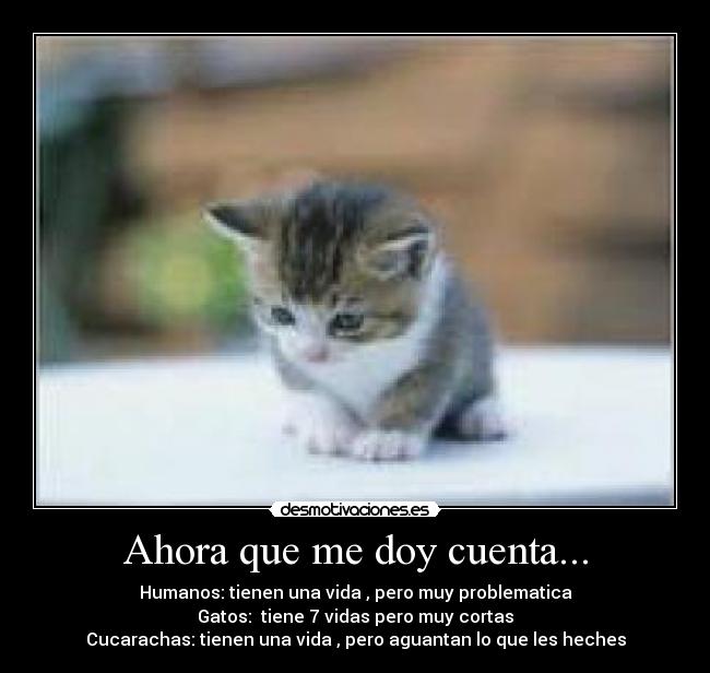 carteles lalala desmotivaciones