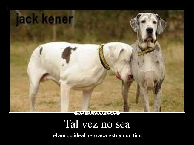 Tal vez no sea - el amigo ideal pero aca estoy con tigo