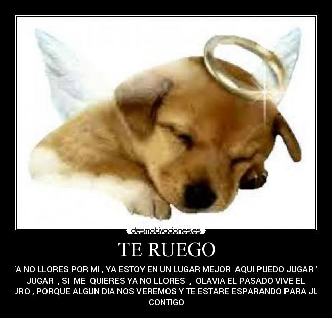 TE RUEGO - YA NO LLORES POR MI , YA ESTOY EN UN LUGAR MEJOR AQUI PUEDO JUGAR Y
JUGAR , SI ME QUIERES YA NO LLORES , OLAVIA EL PASADO VIVE EL
FUTURO , PORQUE ALGUN DIA NOS VEREMOS Y TE ESTARE ESPARANDO PARA JUGAR
CONTIGO