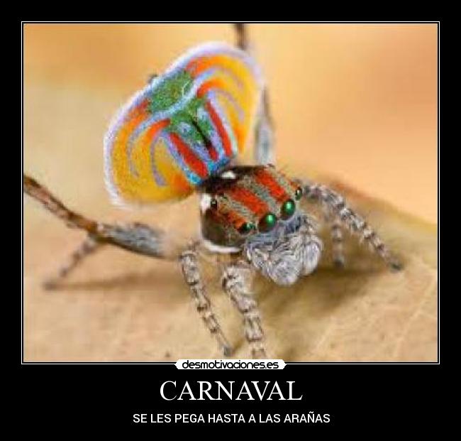 CARNAVAL - 