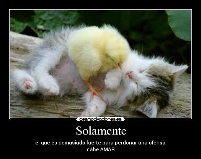 Solamente -