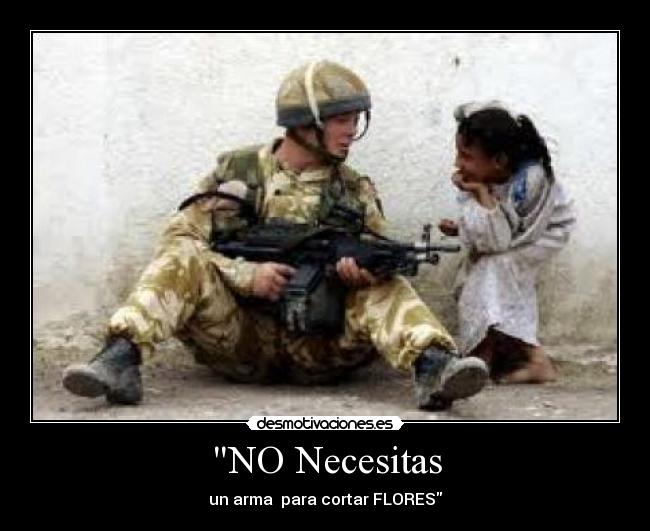 NO Necesitas - 