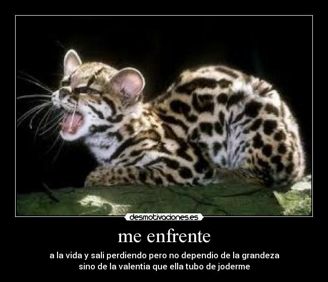 me enfrente - a la vida y sali perdiendo pero no dependio de la grandeza
sino de la valentia que ella tubo de joderme