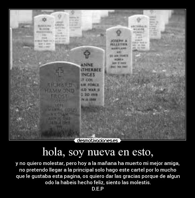 hola, soy nueva en esto, -