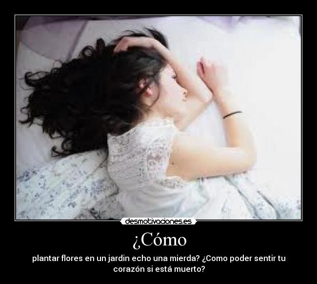 ¿Cómo - plantar flores en un jardin echo una mierda? ¿Como poder sentir tu
corazón si está muerto?
