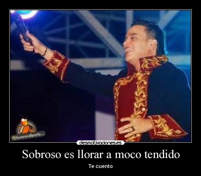 carteles llorar silvestrista desmotivaciones