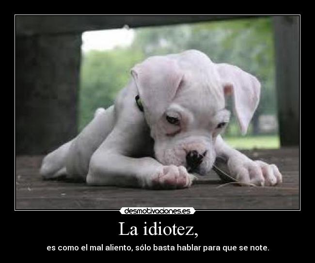 La idiotez, -