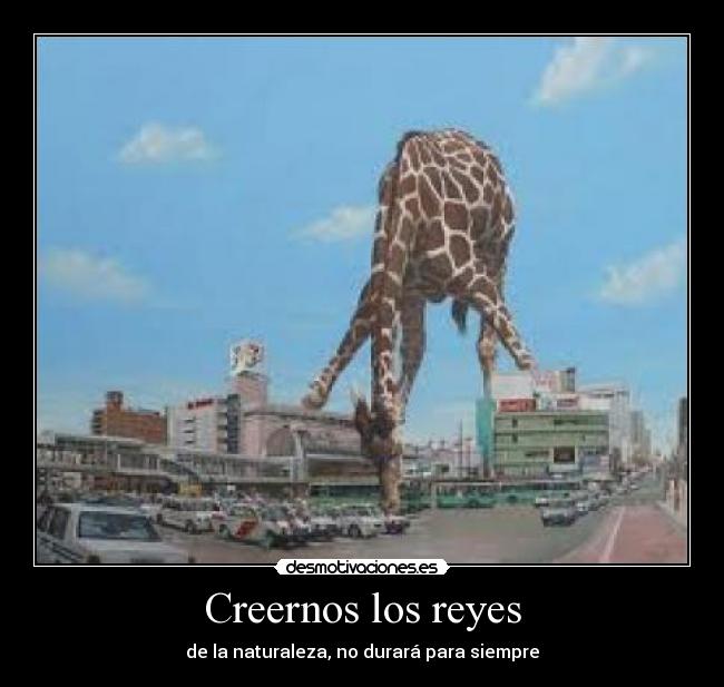 Creernos los reyes -