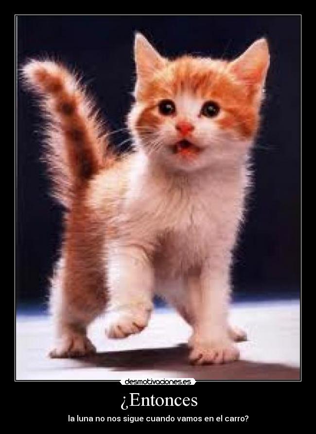 ¿Entonces - la luna no nos sigue cuando vamos en el carro?