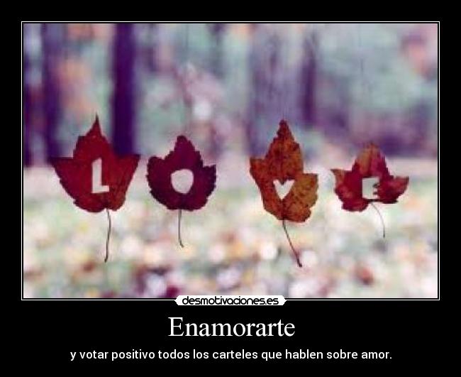 Enamorarte - y votar positivo todos los carteles que hablen sobre amor.