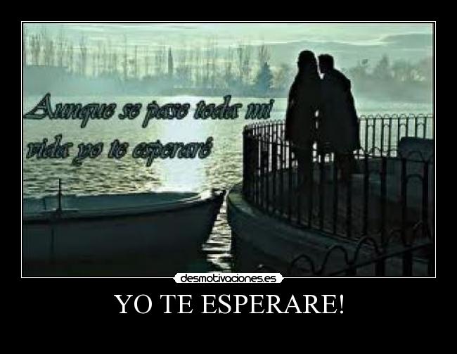 YO TE ESPERARE! -