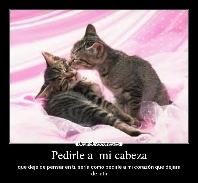 Pedirle a mi cabeza - que deje de pensar en ti, sería como pedirle a mi corazón que dejara de latir