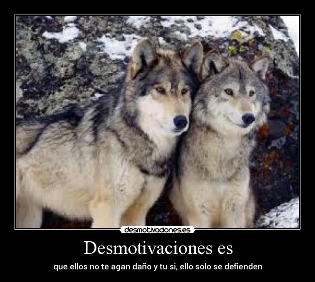 Desmotivaciones es -