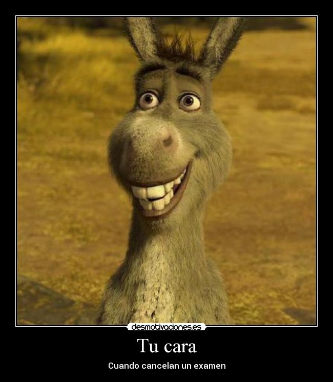 Tu cara - Cuando cancelan un examen