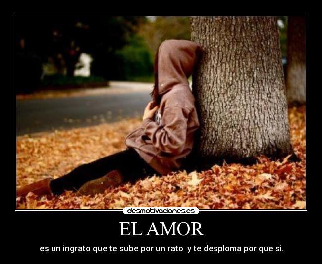 EL AMOR - 