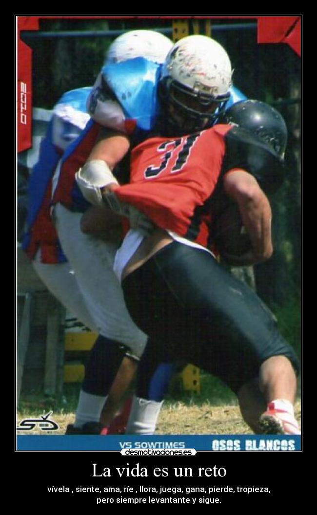 La vida es un reto - vívela , siente, ama, ríe , llora, juega, gana, pierde, tropieza,
pero siempre levantante y sigue.