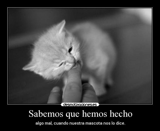 Sabemos que hemos hecho -