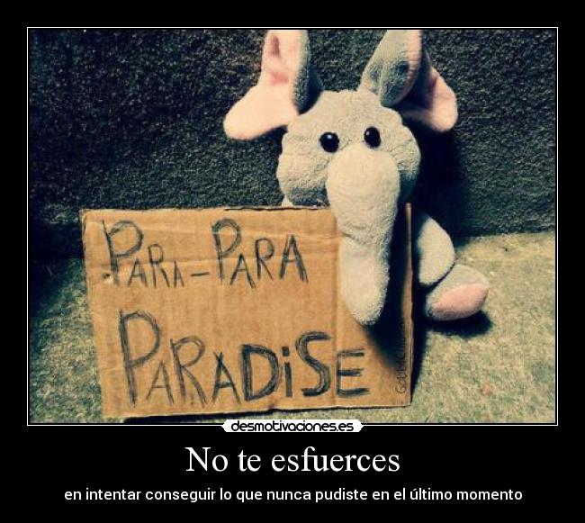 No te esfuerces - en intentar conseguir lo que nunca pudiste en el último momento