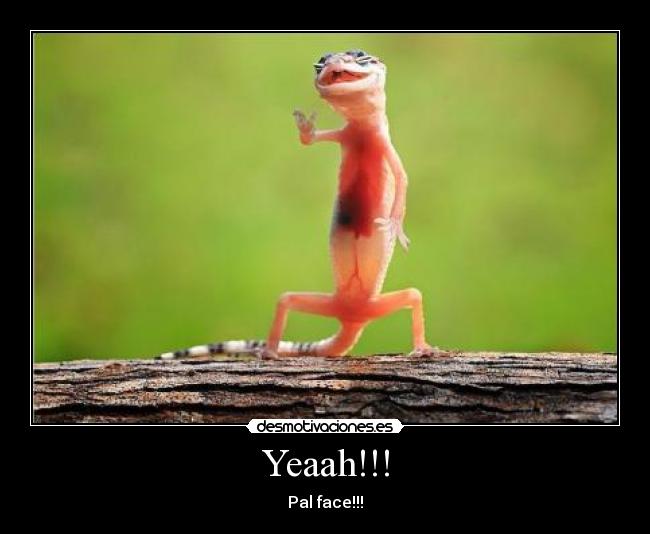 Yeaah!!! - Pal face!!!