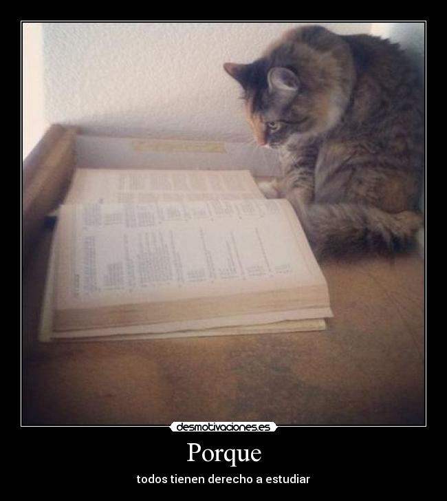 Porque -