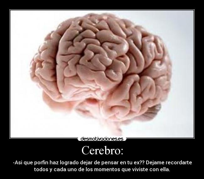 Cerebro: - -Asi que porfin haz logrado dejar de pensar en tu ex?? Dejame recordarte
todos y cada uno de los momentos que viviste con ella.