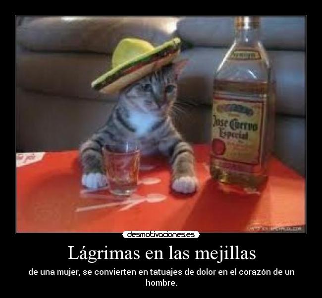 Lágrimas en las mejillas - 