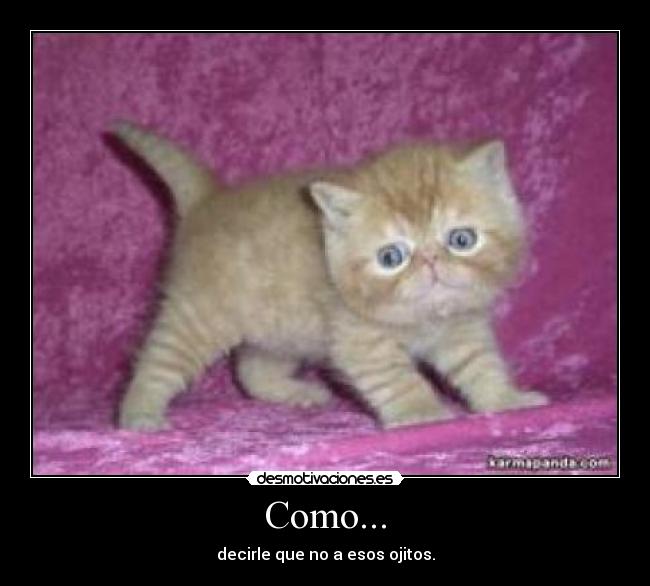 Como... - decirle que no a esos ojitos.