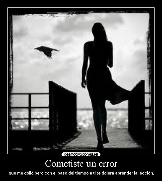 Cometiste un error -