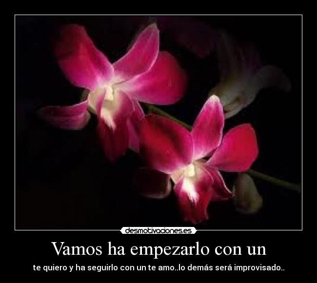 Vamos ha empezarlo con un - te quiero y ha seguirlo con un te amo..lo demás será improvisado..