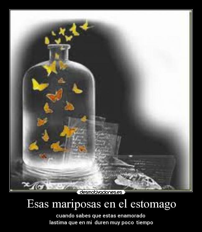 carteles amor mariposas desamor ilusion estomago mariposas desmotivaciones