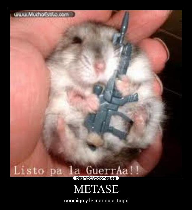 METASE -