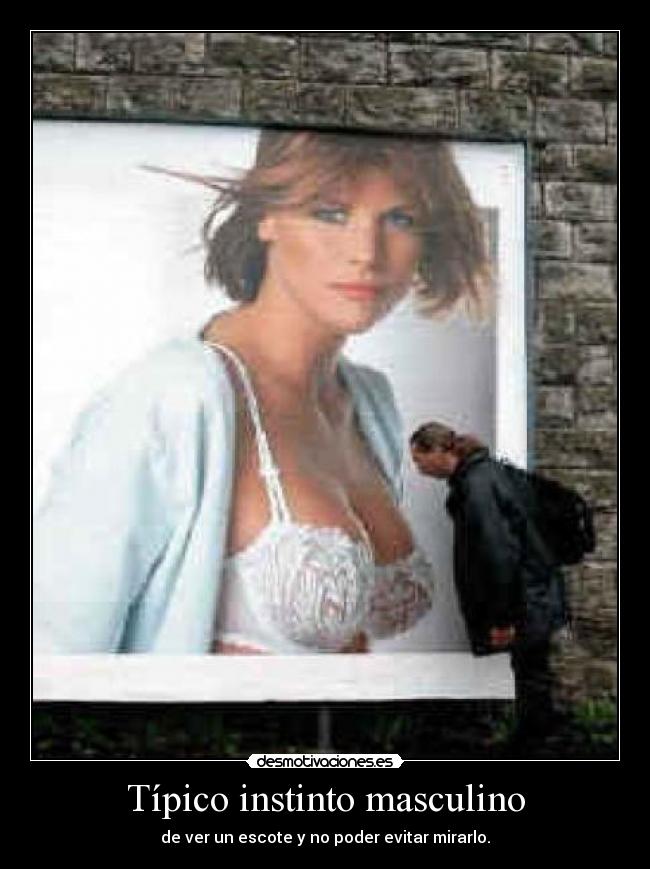 Típico instinto masculino - 