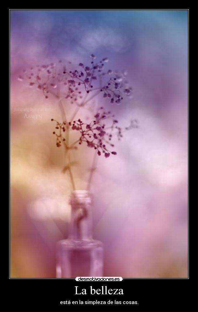 carteles vivan las cosas simple maravillosas esta vida desmotivaciones