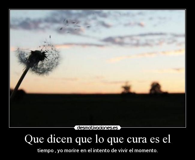 Que dicen que lo que cura es el - tiempo , yo morire en el intento de vivir el momento.