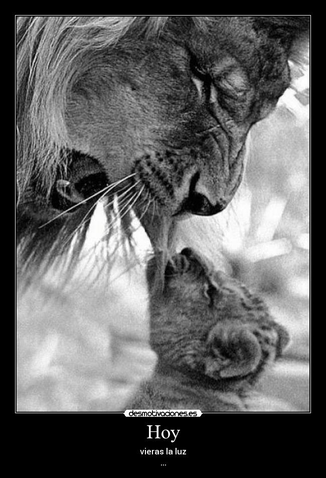 carteles perdon dreadk peregrino gruta donde solo ven los ciegos desmotivaciones