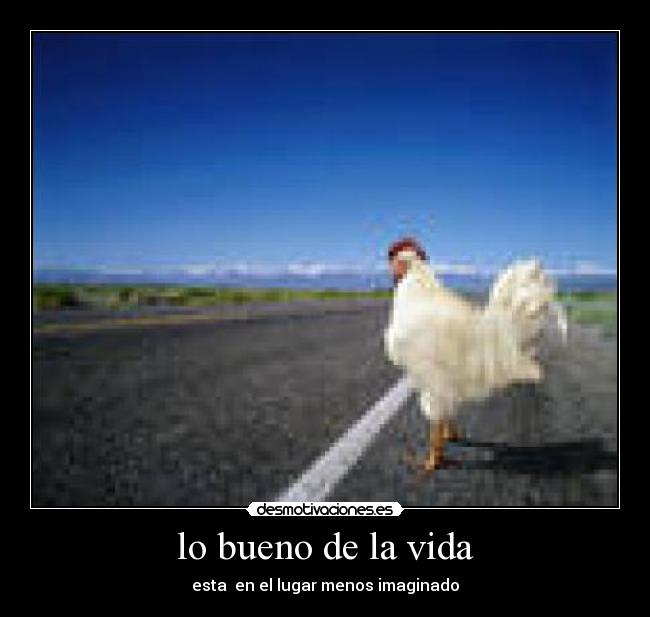 lo bueno de la vida - esta  en el lugar menos imaginado