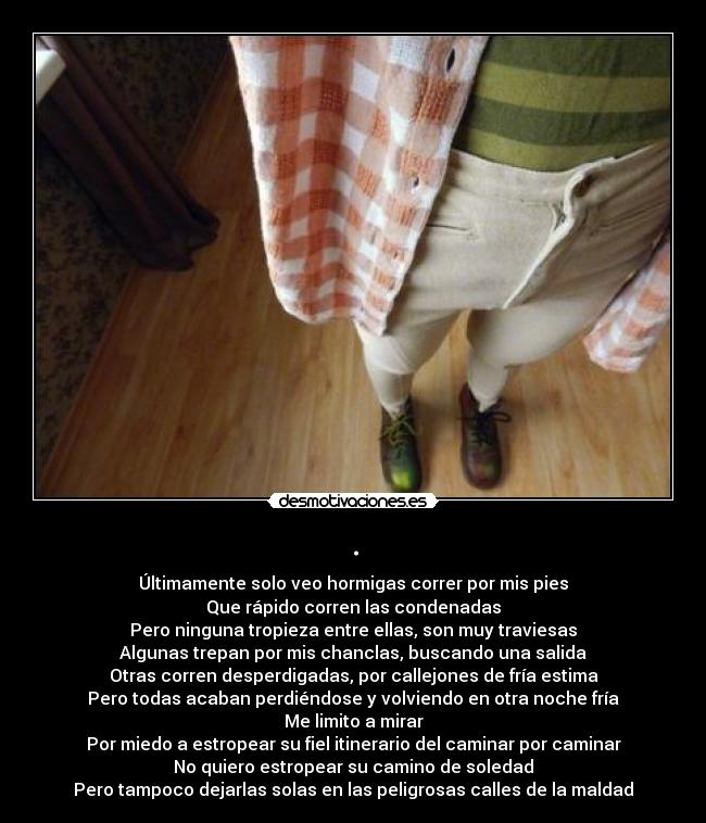 . - Últimamente solo veo hormigas correr por mis pies
Que rápido corren las condenadas
Pero ninguna tropieza entre ellas, son muy traviesas
Algunas trepan por mis chanclas, buscando una salida
Otras corren desperdigadas, por callejones de fría estima
Pero todas acaban perdiéndose y volviendo en otra noche fría
Me limito a mirar
Por miedo a estropear su fiel itinerario del caminar por caminar
No quiero estropear su camino de soledad
Pero tampoco dejarlas solas en las peligrosas calles de la maldad