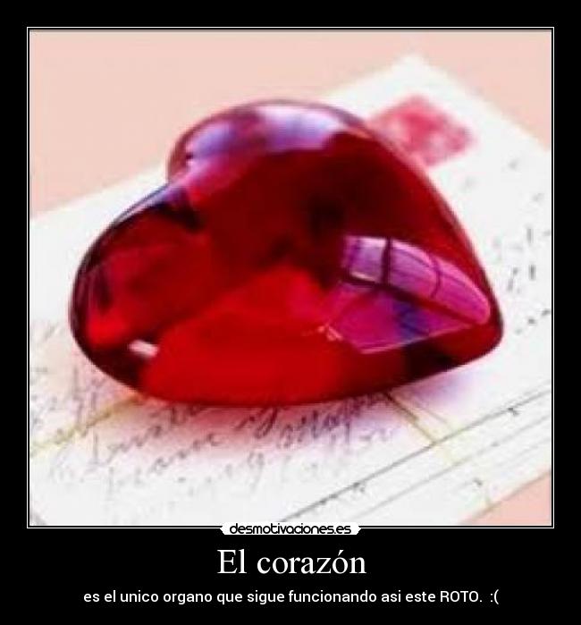 El corazón - es el unico organo que sigue funcionando asi este ROTO. :(
