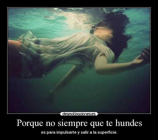 carteles shyless hundete explota desmotivaciones