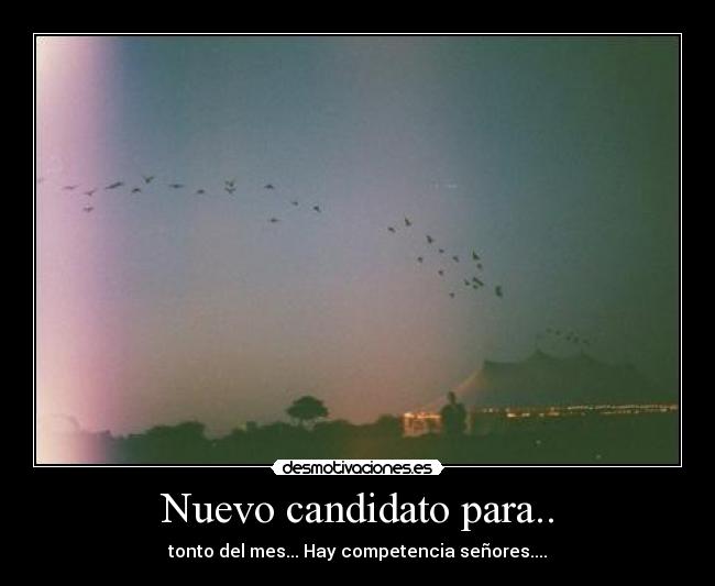 Nuevo candidato para.. - tonto del mes... Hay competencia señores....