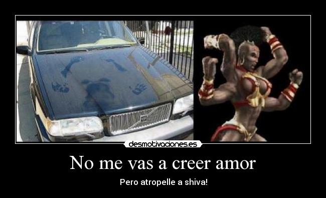 No me vas a creer amor - Pero atropelle a shiva!
