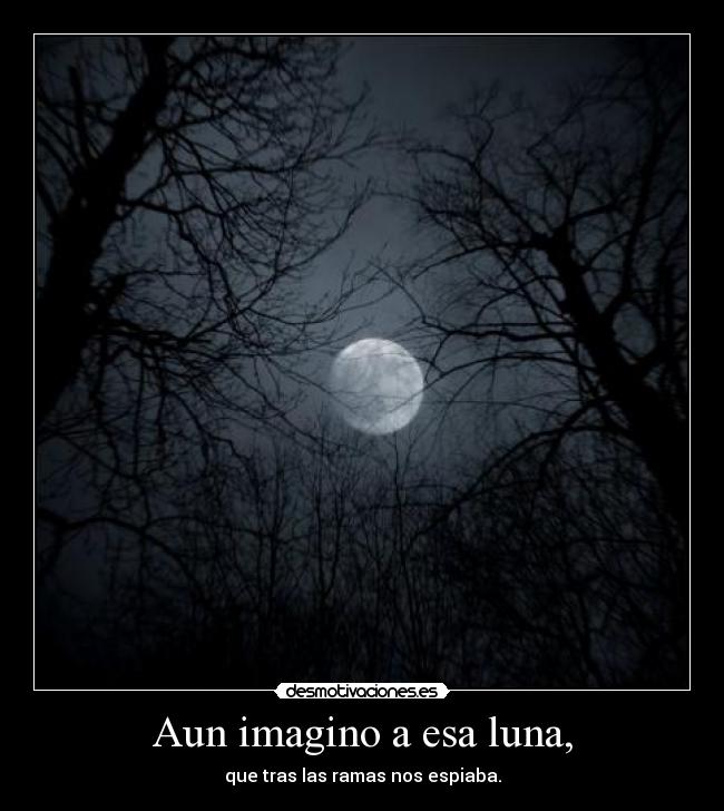 carteles amo besarte amor ojala tus labios fueran agua desmotivaciones