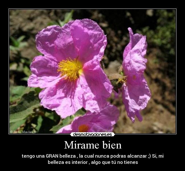 Mirame bien -