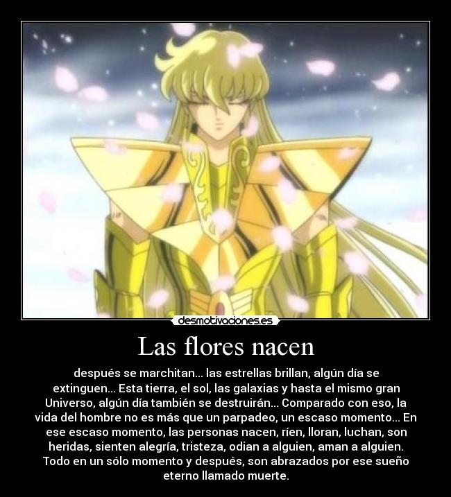 Las flores nacen - después se marchitan... las estrellas brillan, algún día se
extinguen... Esta tierra, el sol, las galaxias y hasta el mismo gran
Universo, algún día también se destruirán... Comparado con eso, la
vida del hombre no es más que un parpadeo, un escaso momento... En
ese escaso momento, las personas nacen, ríen, lloran, luchan, son
heridas, sienten alegría, tristeza, odian a alguien, aman a alguien.
Todo en un sólo momento y después, son abrazados por ese sueño
eterno llamado muerte.